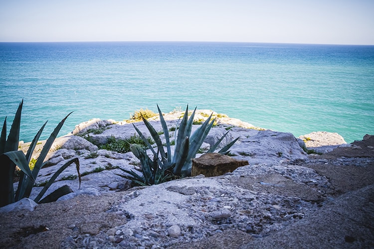 Baja California Mexico