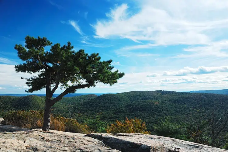 Blue Ridge Mountains