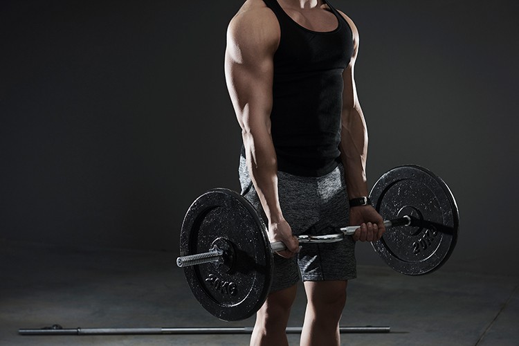 best free strength training programs