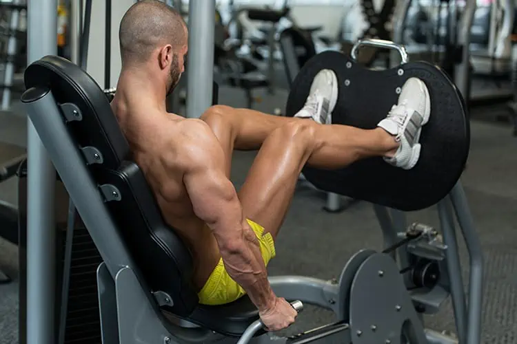 how to get bigger legs