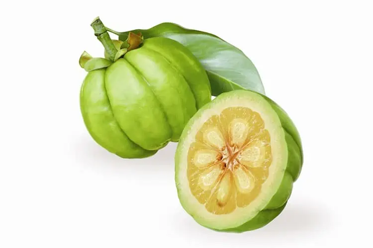 Garcinia benefits and side effects