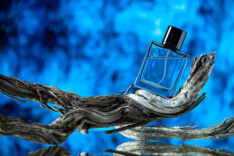 best men's colognes