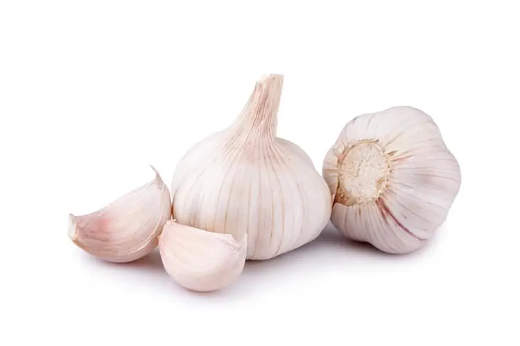 health benefits of garlic