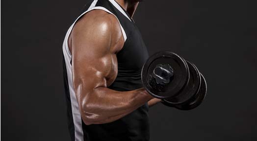 Best Free Weight Exercises