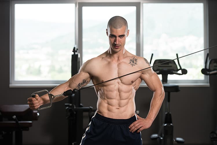 cable machine core exercises