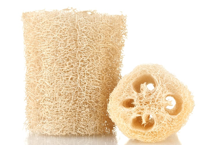 Is It Good To Use a Loofah ? Men's Fit Club