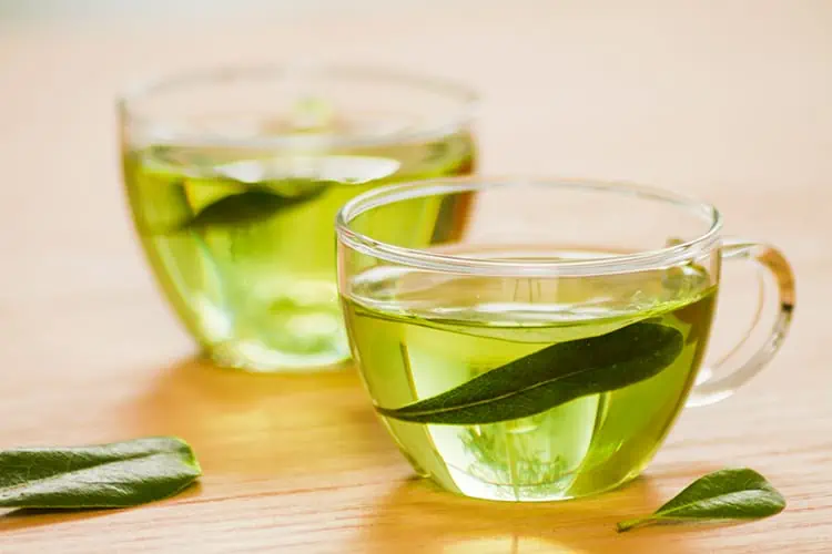 green tea and aging