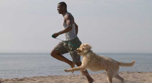 Working out with Your Dog