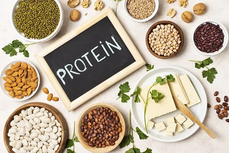 high protein vegetarian meals