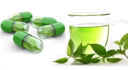 Here is Why You Should Care About Green Tea Extract