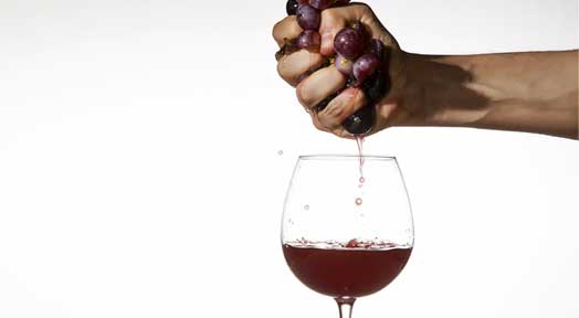 How to Pair Wine with Food