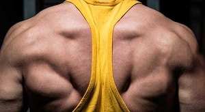 Back Exercises Tips To Add To Your Workout