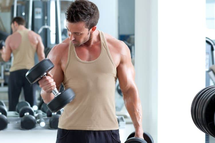 daily arm workout