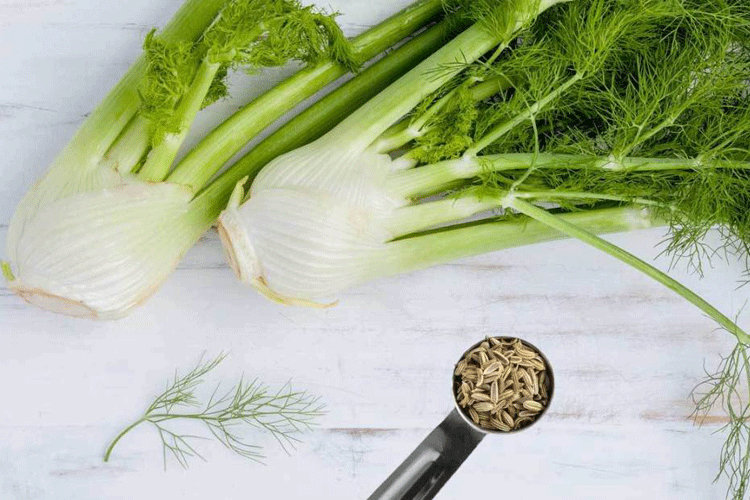 spices for men’s health - Fennel