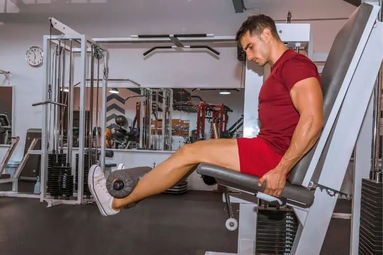 quadricep workout
