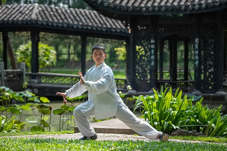 tai chi for beginners