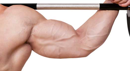 How to Get Big Arms Fast