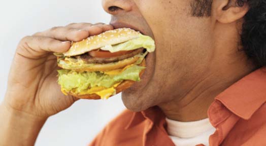 Can Junk Food Damage your Brain