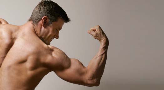 Does Weight Training Increase Bone Density