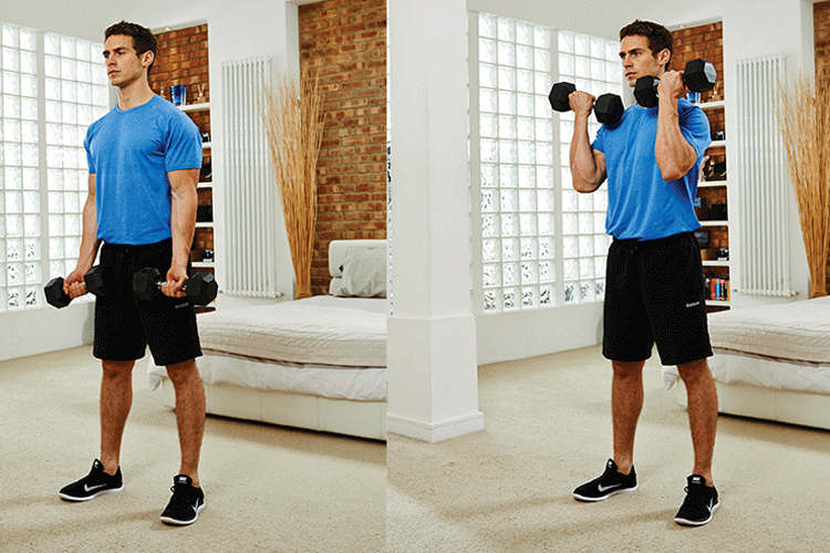barbell curl