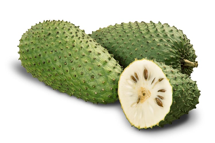 health benefits of Soursop