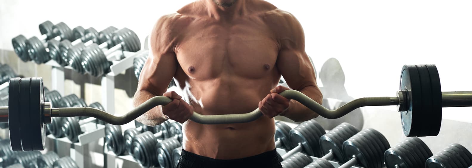 Fat Burning Machine