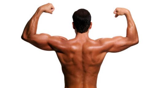 How to Add Inches to your Biceps
