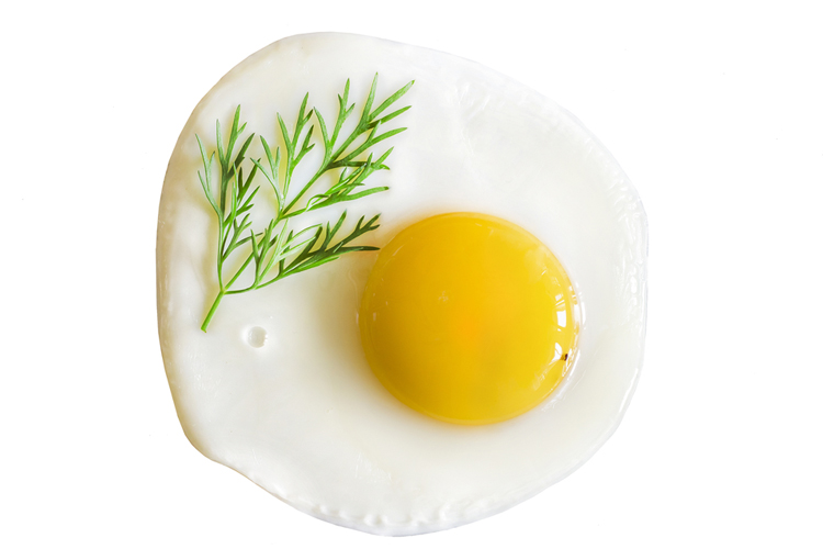 Best Power Foods to Fuel your Workout