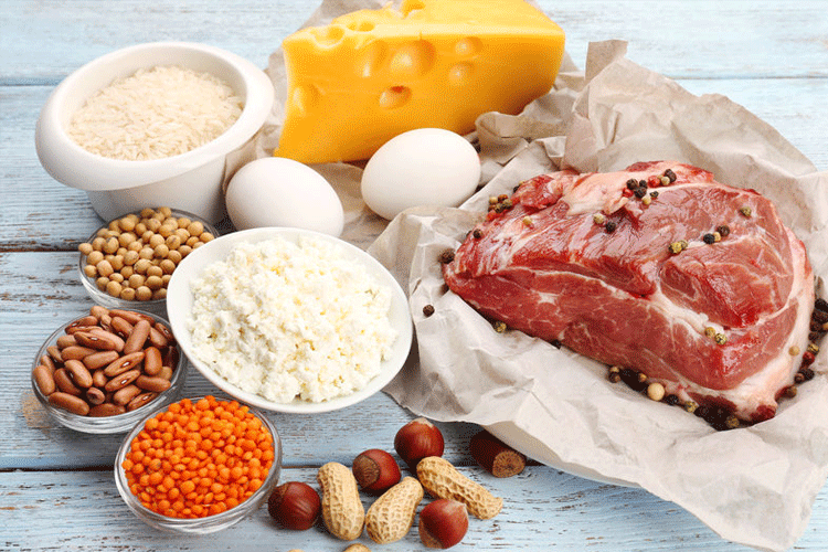 types protein for muscle gain