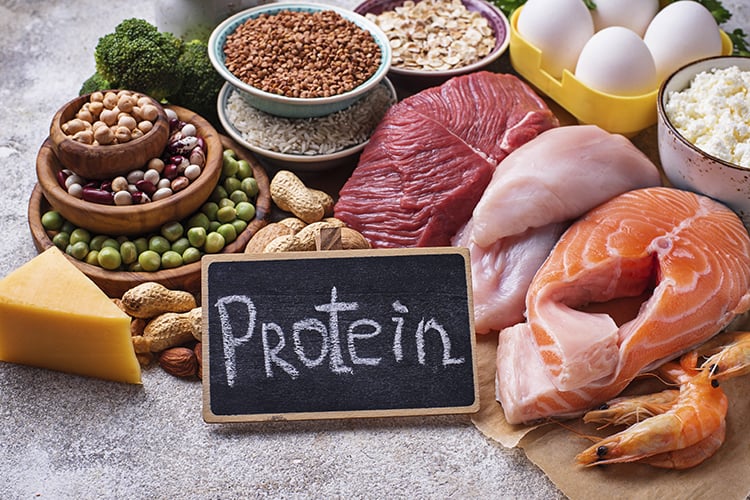 importance of protein