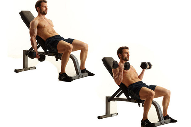 Bicep Workouts The Best Strong Arms Exercise
