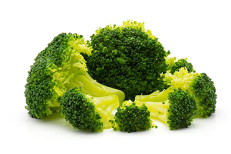 Top 10 Low Carb Fruits and Vegetables to eat on the keto diet - Broccoli