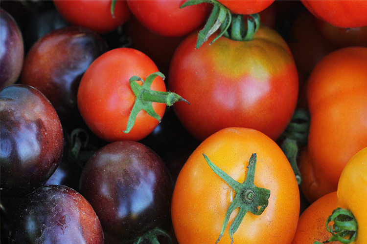 Top 10 Low Carb Fruits and Vegetables to eat on the keto diet - Tomato