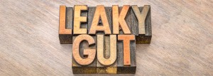 Signs of a Leaky Gut and How to Heal it