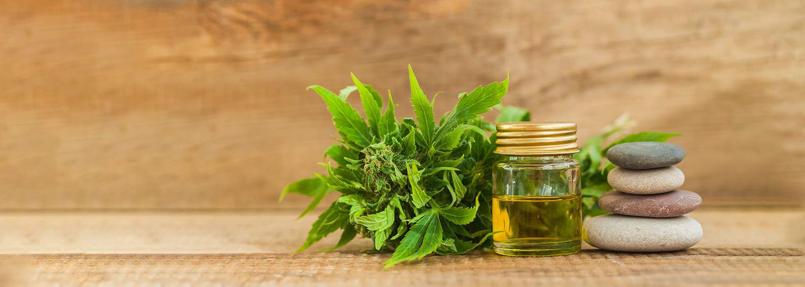 Key Health Benefits of CBD Oil (Cannabidiol)