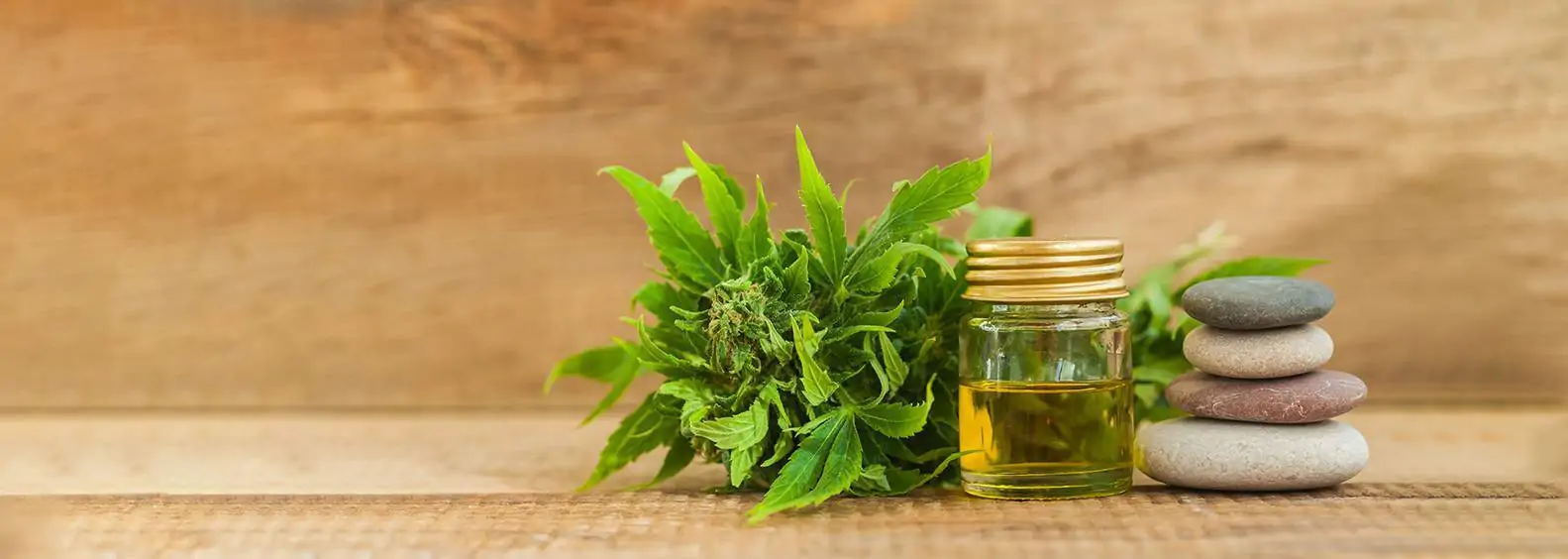 Key Health Benefits of CBD Oil (Cannabidiol)