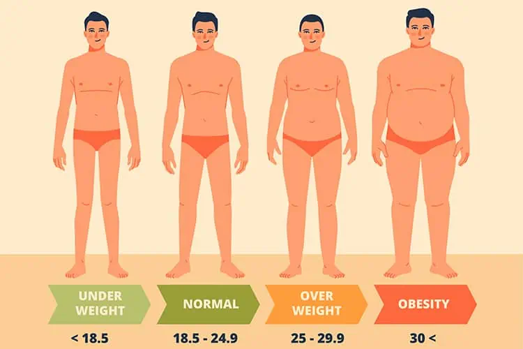 weight chart