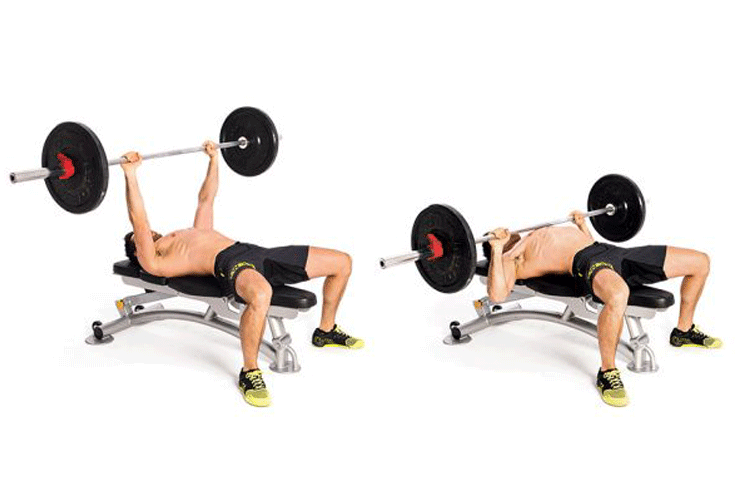 Bench Press- The right way to perform it Explained -Bench Press
