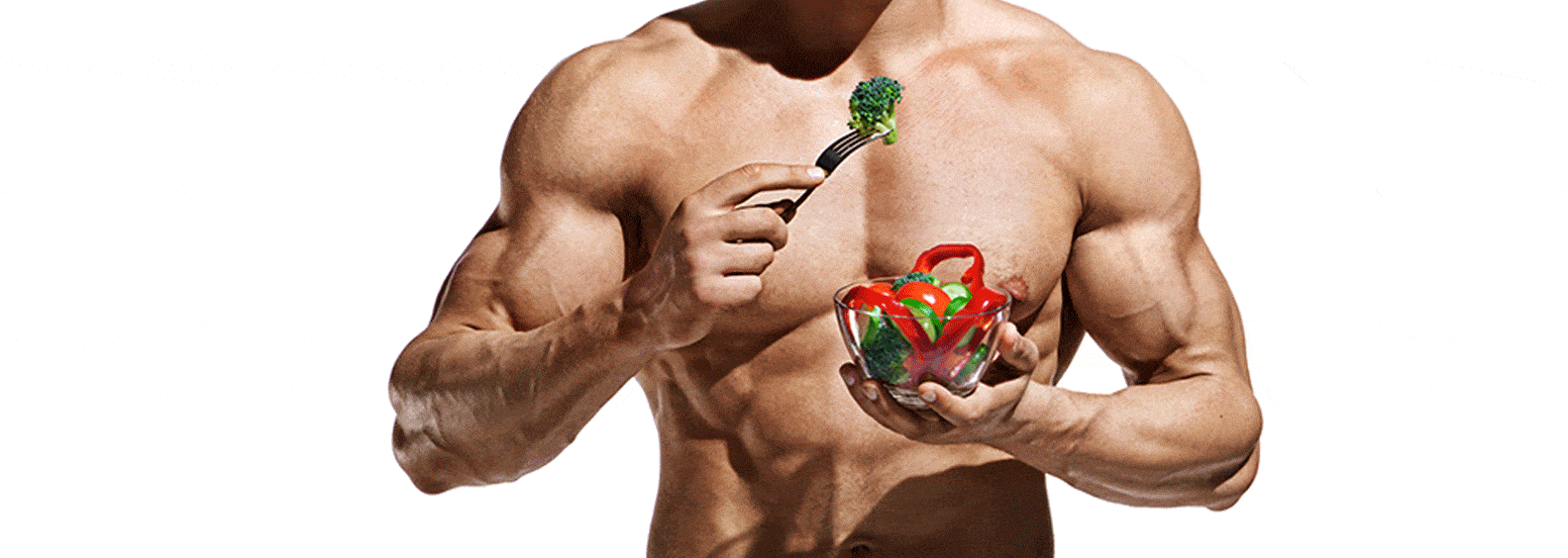 Vegan Gains - All you need to know
