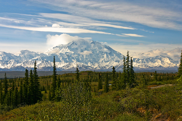 Denali National Park