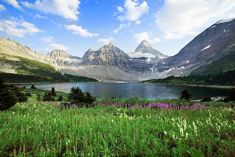 MOUNT ASSINIBOINE