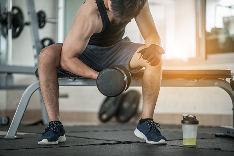 exercise bench