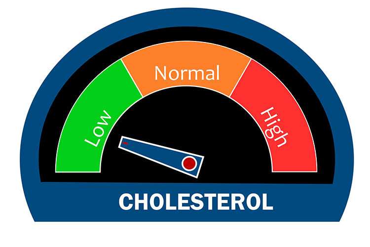 aerobic and rhythmic exercises to lower cholesterol