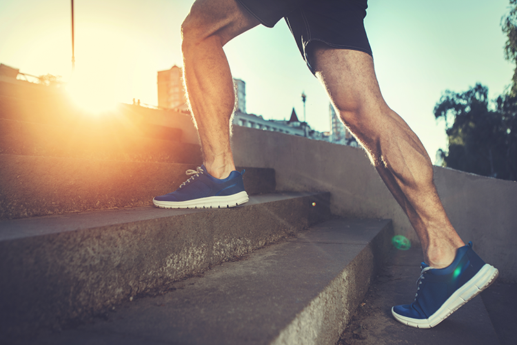 step-up exercise for leg day
