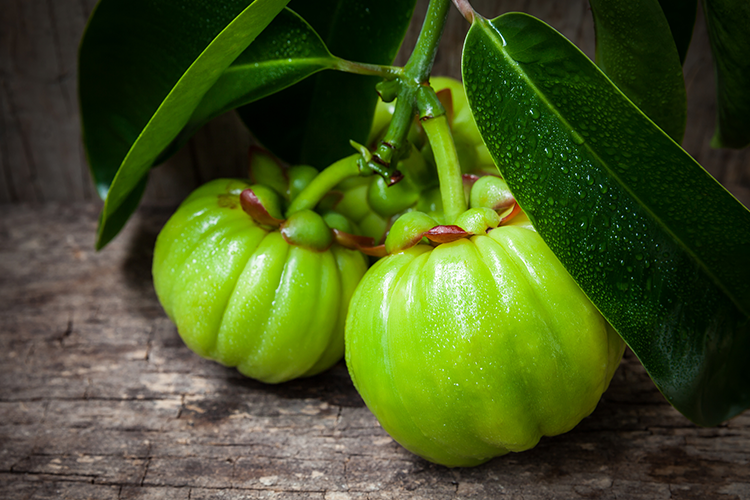 garcinia cambogia fruit