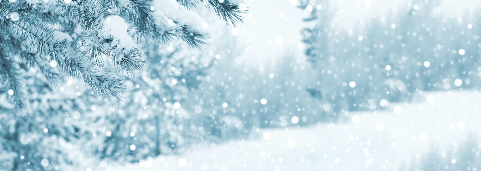 seasonal affective disorder