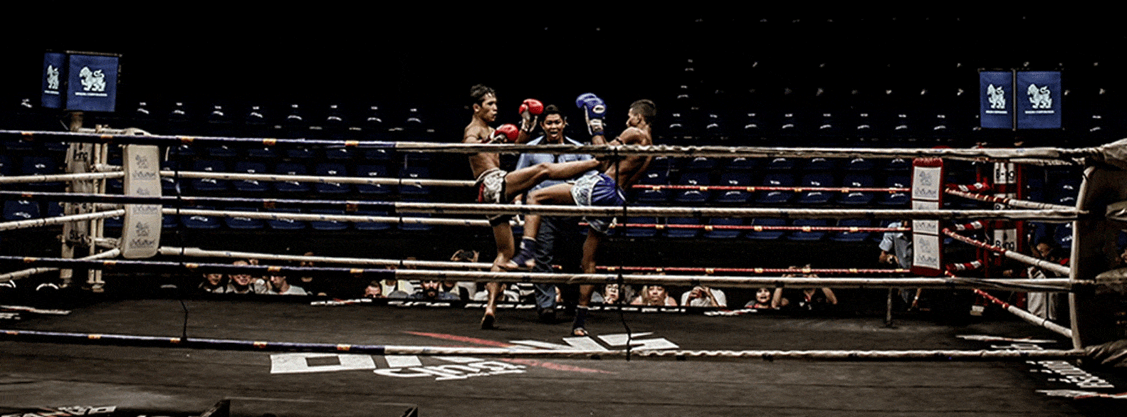 Muay Thai Cardio Workout