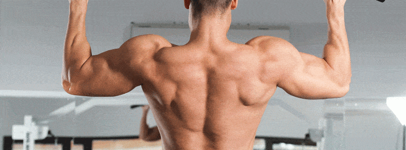 Back Exercises - Pull Ups
