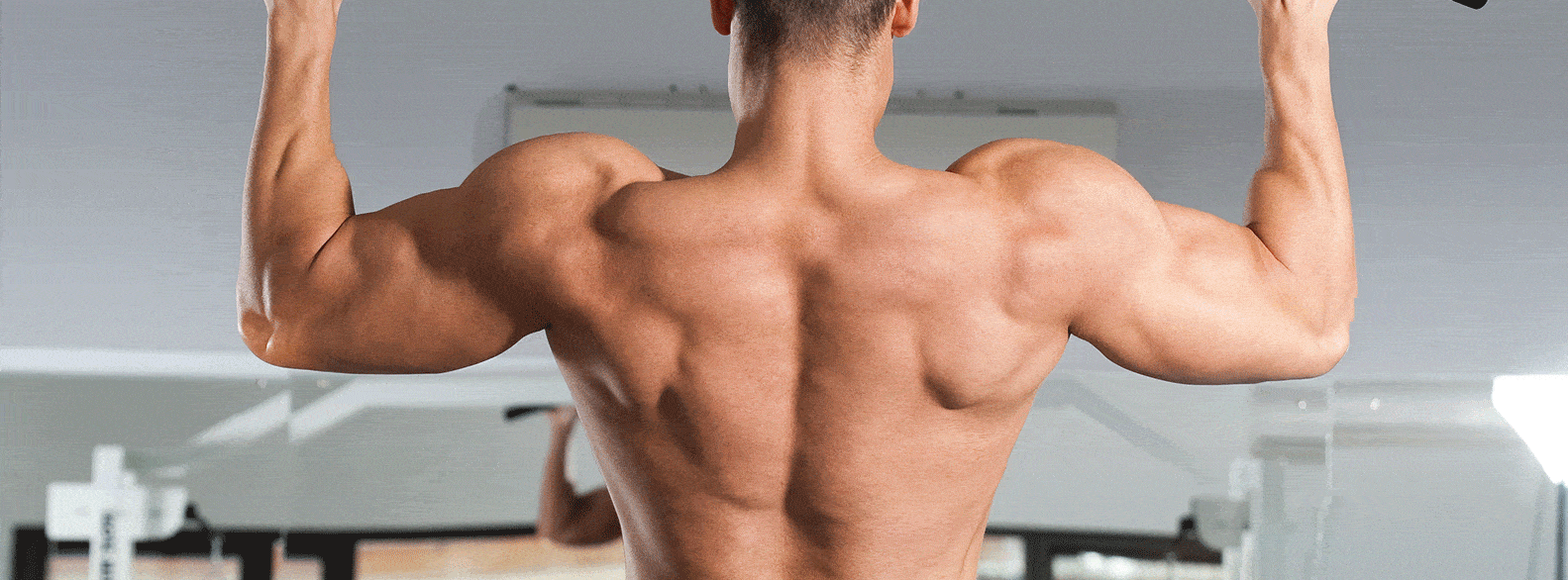 Back Exercises - Pull Ups
