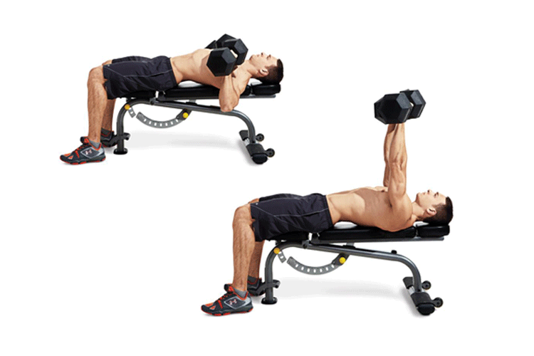 Dumbbell Workouts: The Full Body Workouts At Home - Dumbbell Bench Press